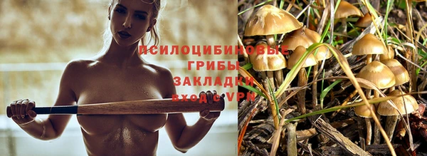 эйфоретик Пролетарск