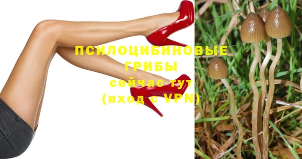 таблы Приозерск