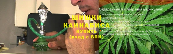 шишки Гусиноозёрск