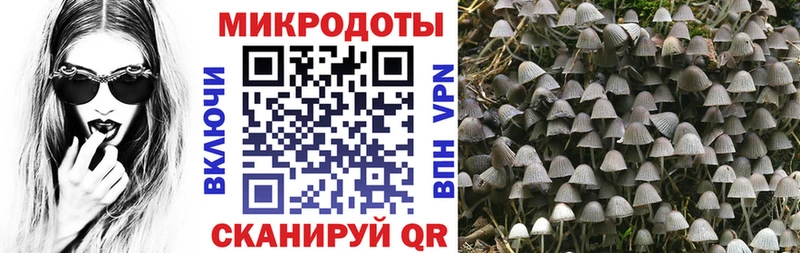 mega вход  Абинск  Галлюциногенные грибы прущие грибы 