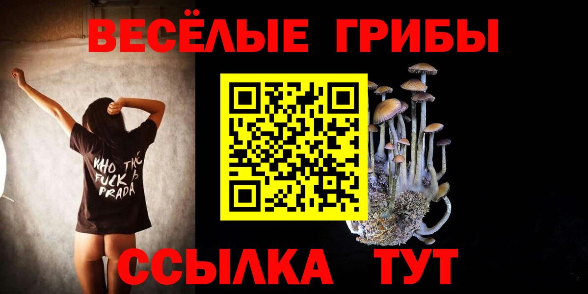 Галлюциногенные грибы GOLDEN TEACHER  Вход с VPN  закладки  Абинск 