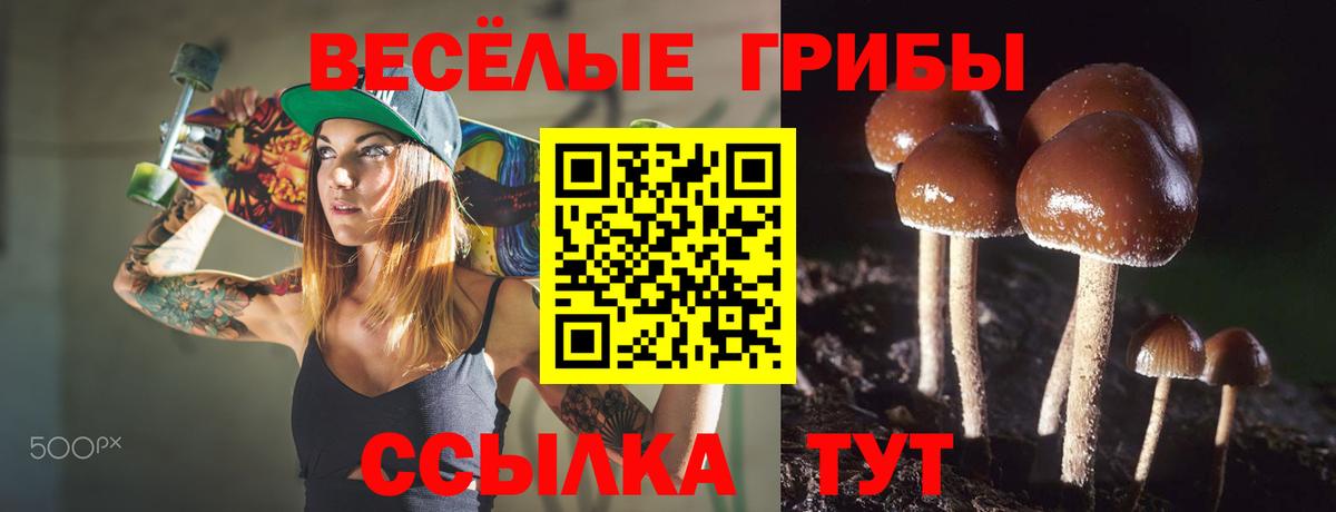 Галлюциногенные грибы MAGIC MUSHROOMS  Абинск  Псилоцибиновые грибы прущие грибы 