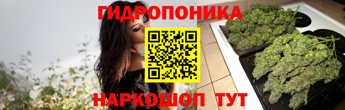 Каннабис план  Абинск  Конопля SATIVA & INDICA  Марихуана ГИДРОПОН 